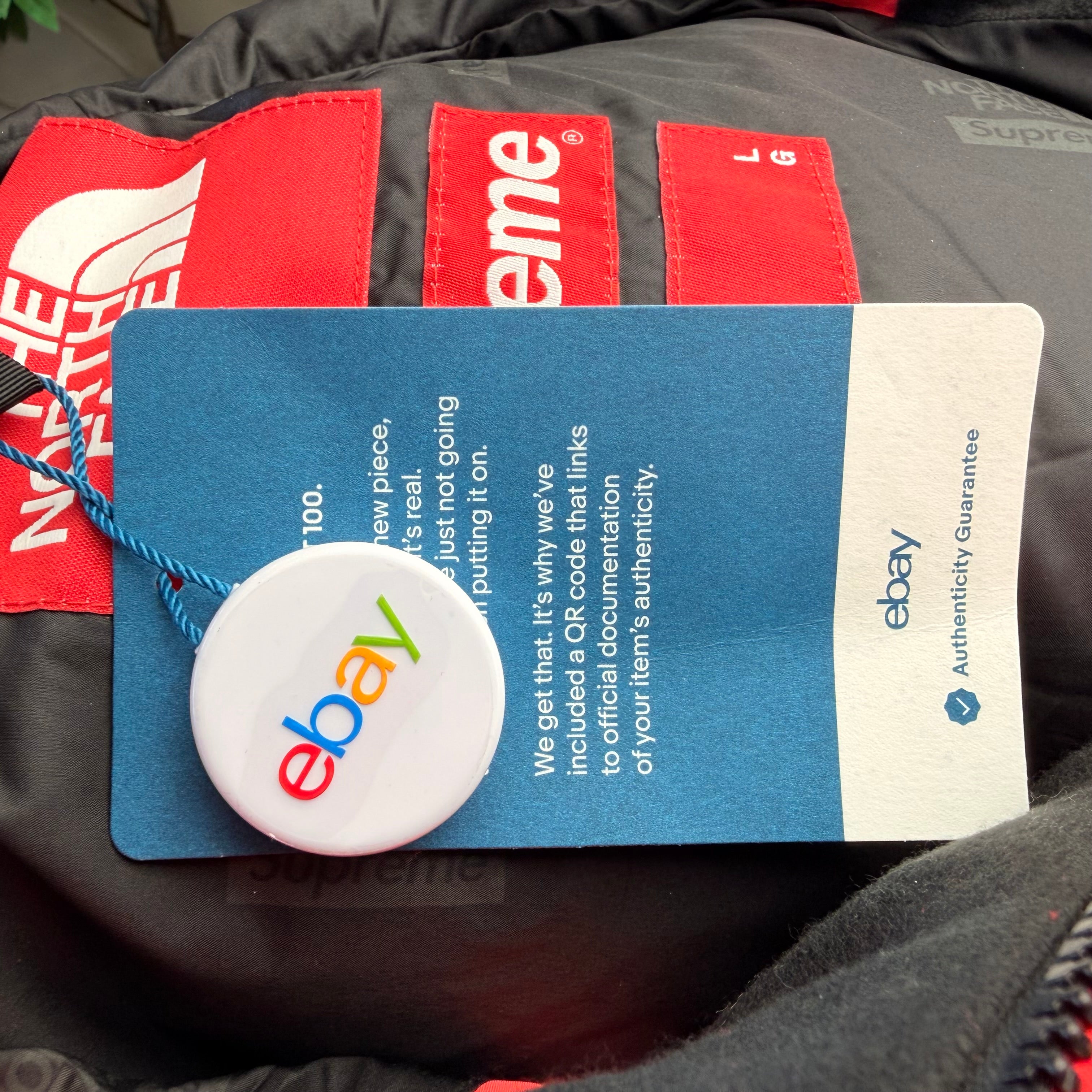 Supreme x The North Face RTG Jacket - L