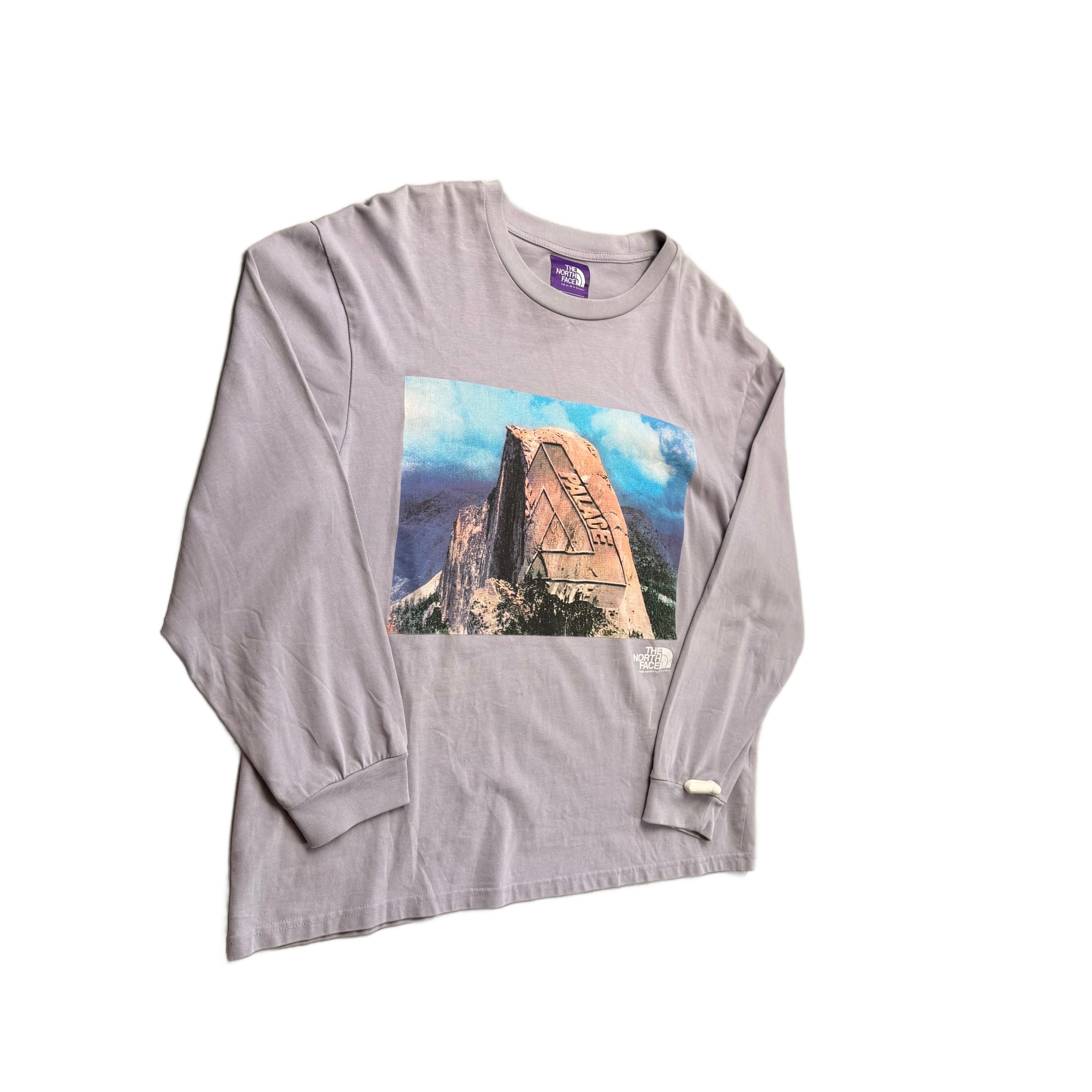 Palace x The North Face T-Shirt - Grey - XL