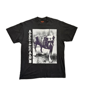 Vintage 1995 Alice in Chains T-Shirt - Black - L