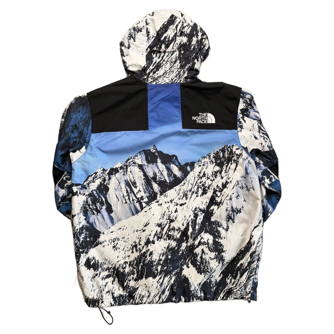 Supreme x The North Face Jacket - XL