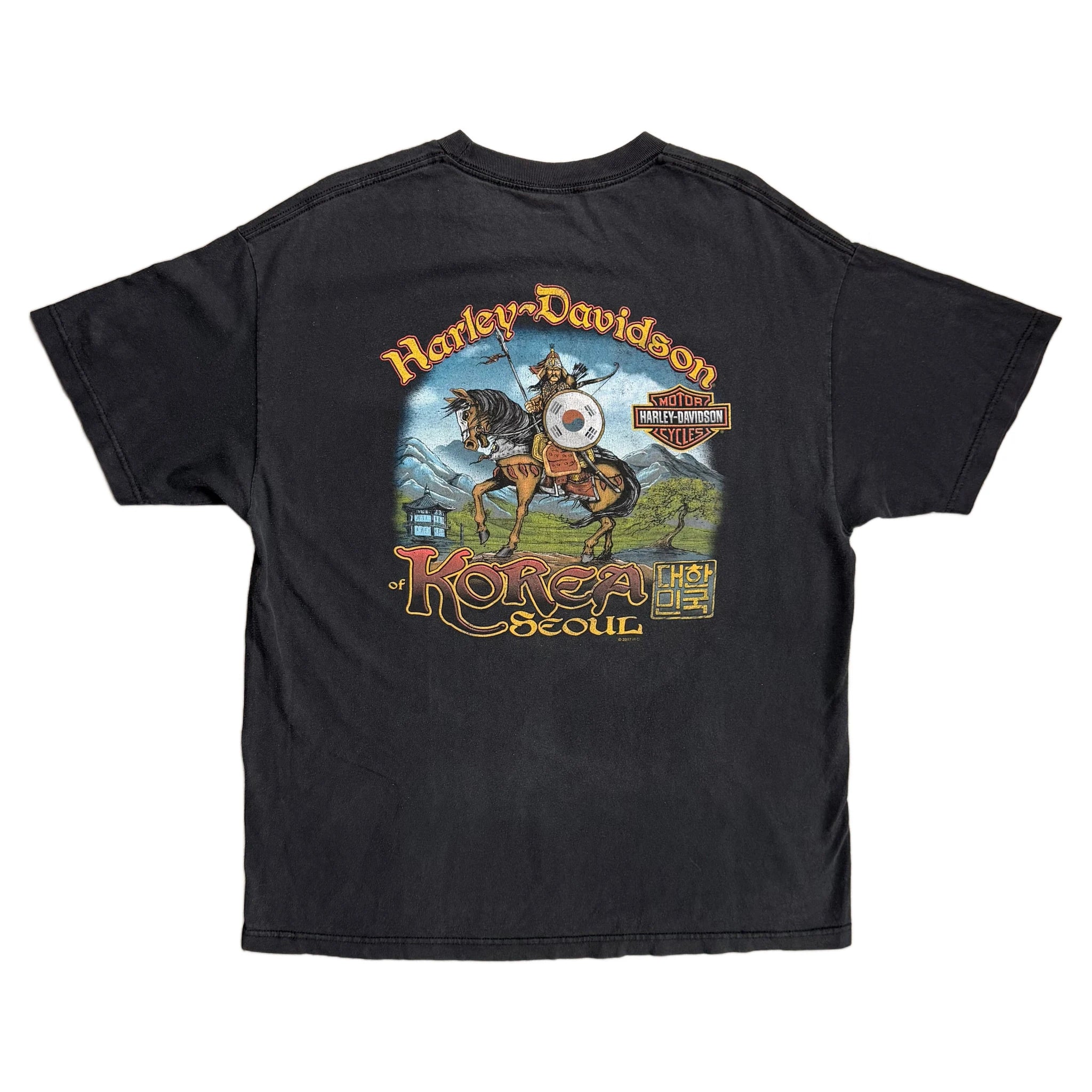 Vintage 2017 Harley Davidson T-Shirt - Black - XL