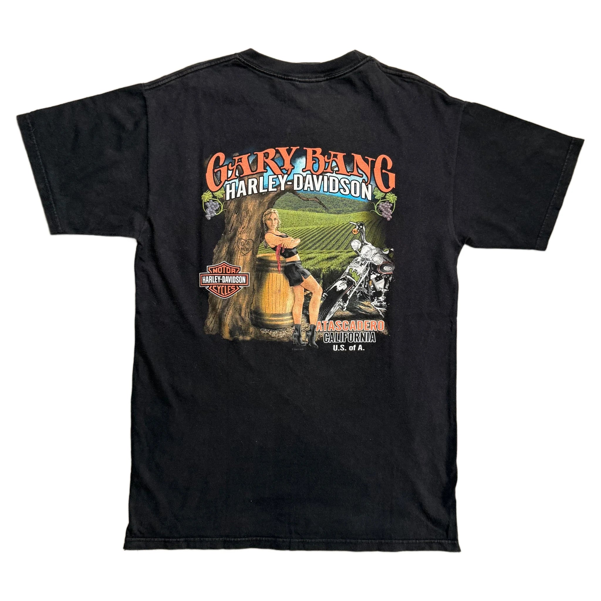 Vintage 2005 Harley Davidson T-Shirt - Black - XL